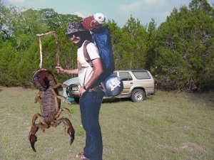 Now, *that's* a scorpion! From Associated Civil Press