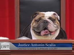 I could watch this all. day. long.