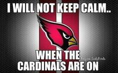 calm cardinals