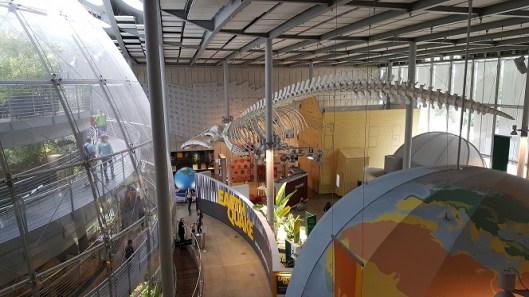 Day 4California academy interior
