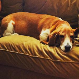 13517375_10153589074157233_2733604569742283915_o